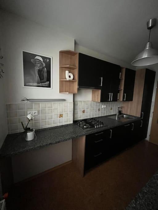 Apartment Harrison Homes 01 *